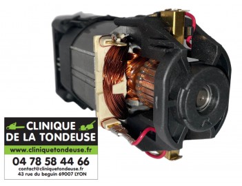 MOTEUR ELECTRIQUE HSE 71 clinique de la tondeuse fr